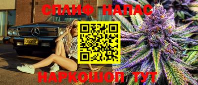 гашик Аргун