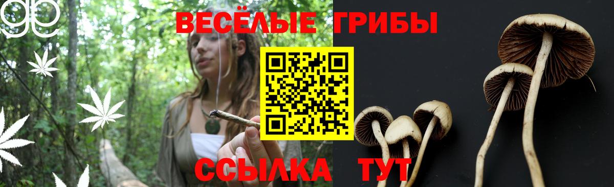 Галлюциногенные грибы MAGIC MUSHROOMS Верхний Уфалей